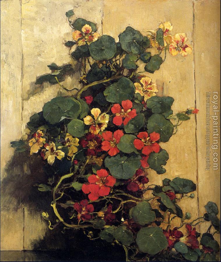 Johannes Evert Akkeringa : Indian Cress Johannes Evert Akkeringa : Indian Cress